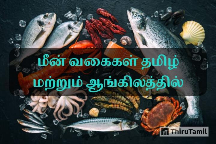 Learn Tamil Through English Basa Fish HD Wallpaper Pxfuel 47 OFF learn-tamil-through-english-basa-fish-hd-wallpaper-pxfuel-47-off