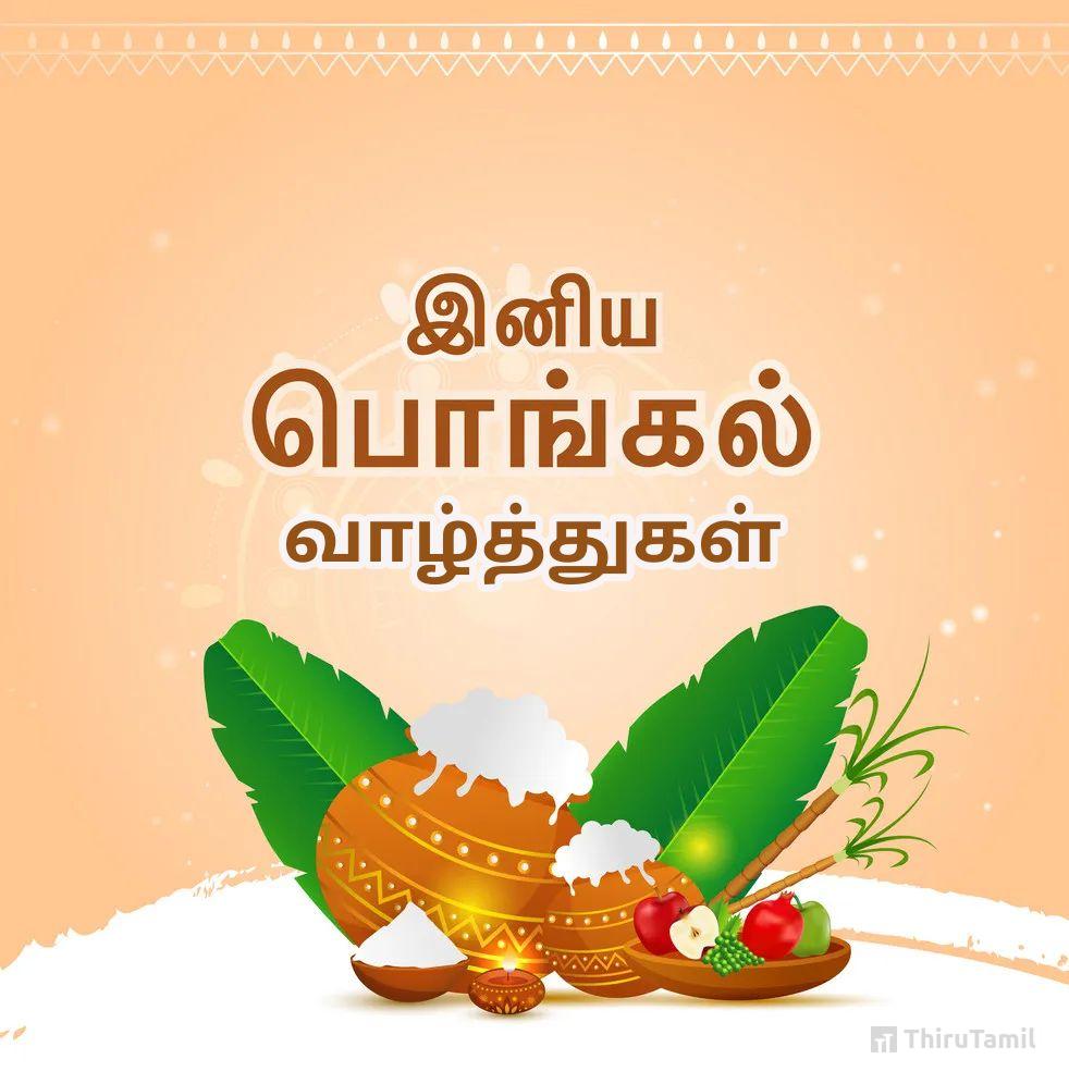 40 2024 New Happy Pongal Wishes In Tamil 2024 40-2024-new-happy-pongal-wishes-in-tamil-2024
